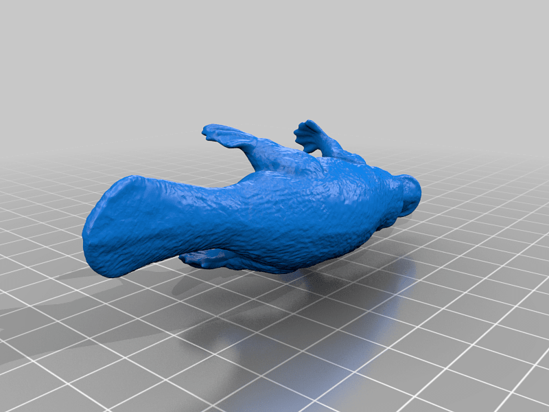 Platypus