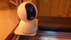 image_processing20220622-13181-1tz25h8.jpg