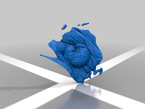 image_processing20220627-25661-1t8827z.png