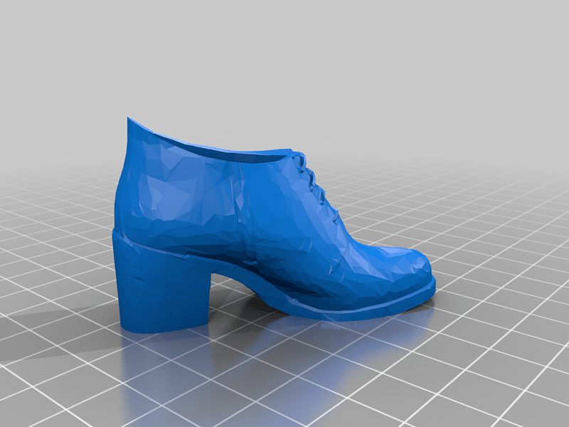 Golda's Shoes