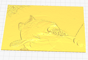 image_processing20220627-20706-awsn01.png