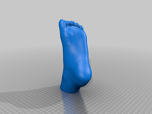 Lella's Foot