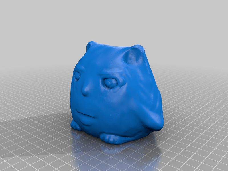 Angry Pet