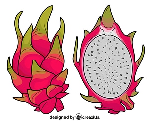 火龙果
