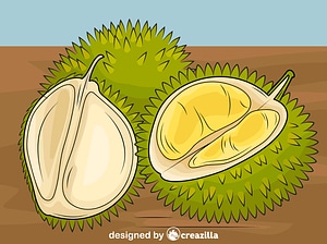 Durian Cut in Pieces