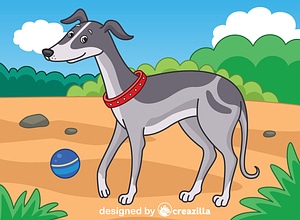 Greyhound