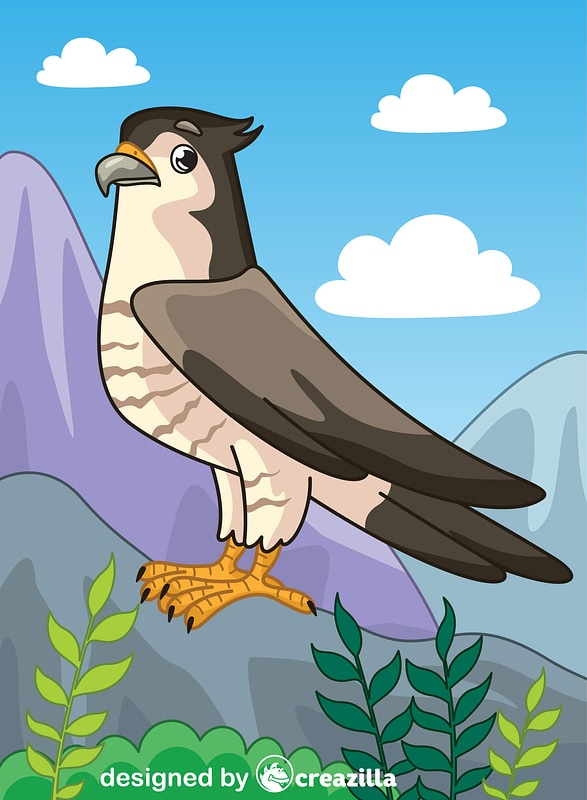 Falcon