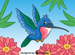 Hummingbird