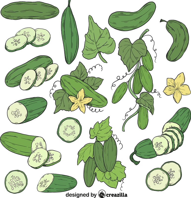 Set of Cucumber