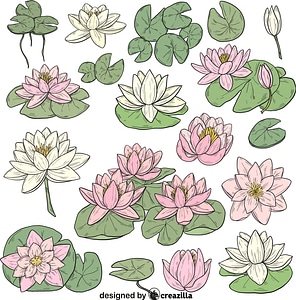 Set of Lilypad