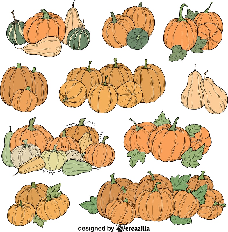 Set of Pumpkin patch