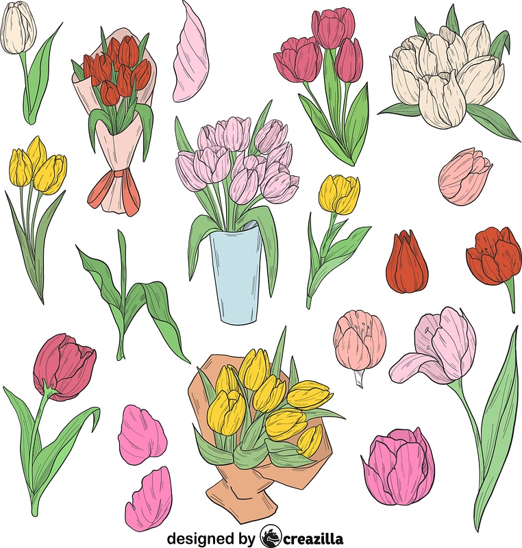 Set of Tulip