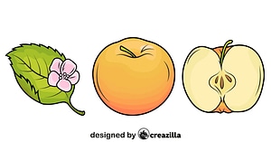 Apples and the Leaf