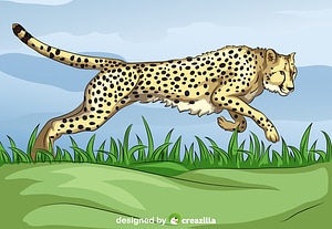 Running Cheetah
