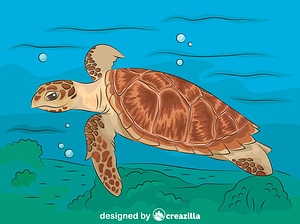 Tortue imbriquée