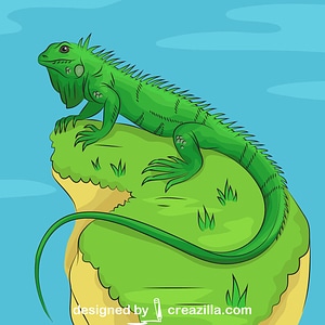 Iguana