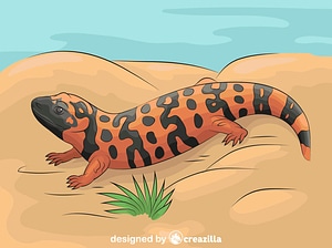 Gila Monster