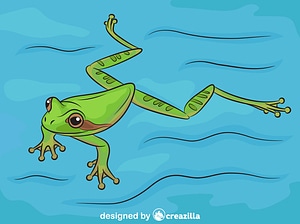 Masked Tree Frog Swimming