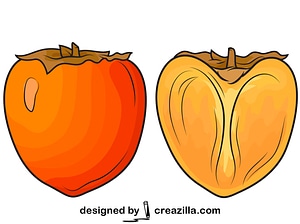 Persimmon Cut in Half
