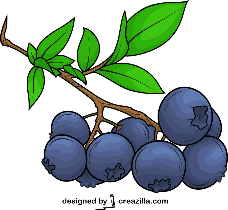 Blueberry