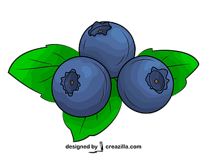Blueberries
