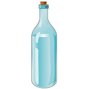 Bottle