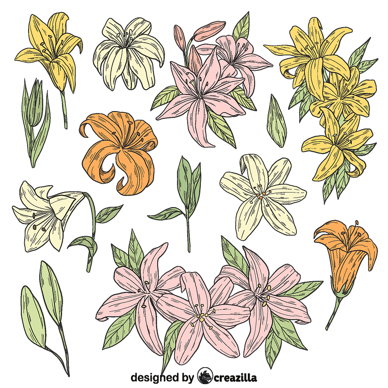 Set of lilies