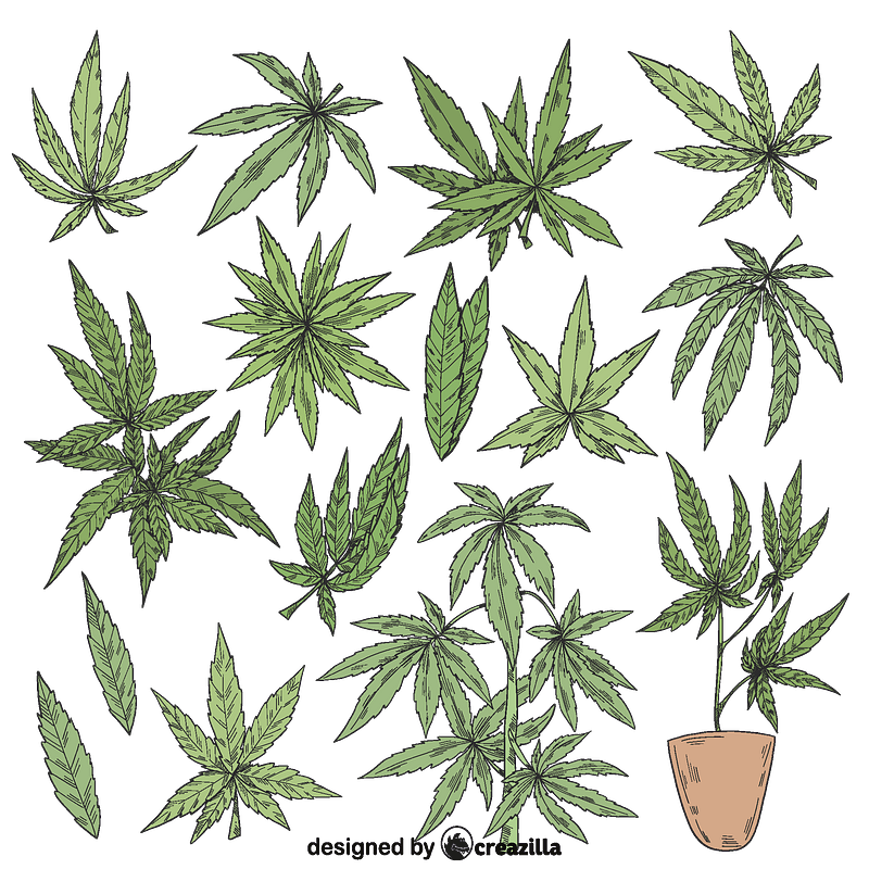Set of marijuanna