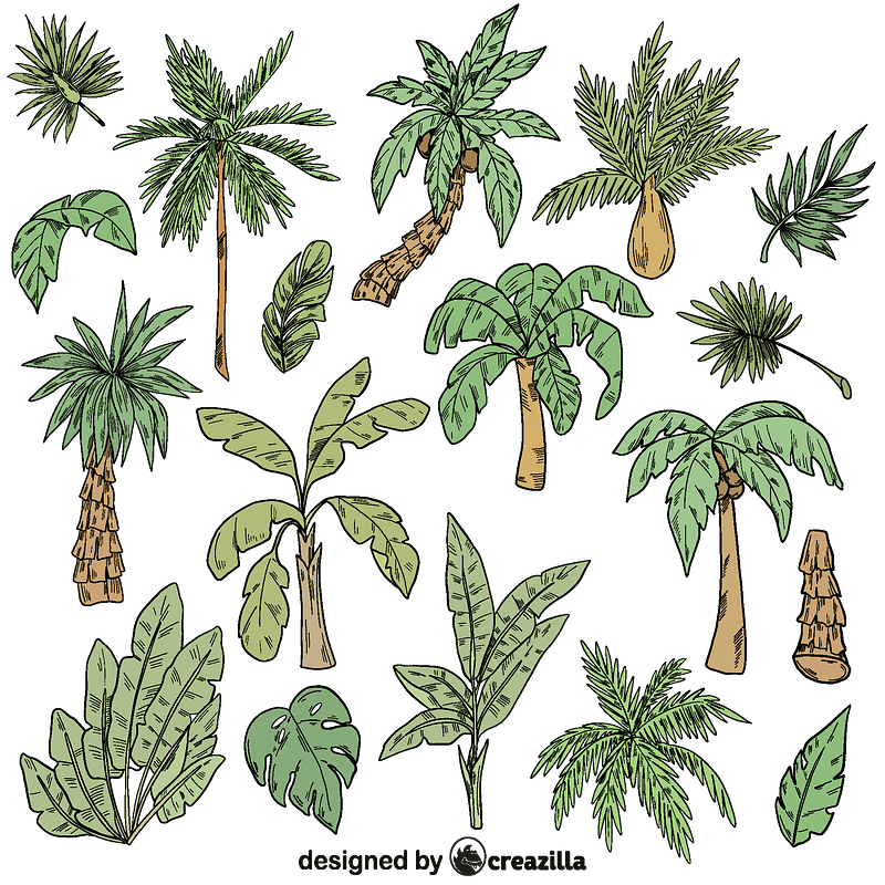 Set of palm tree