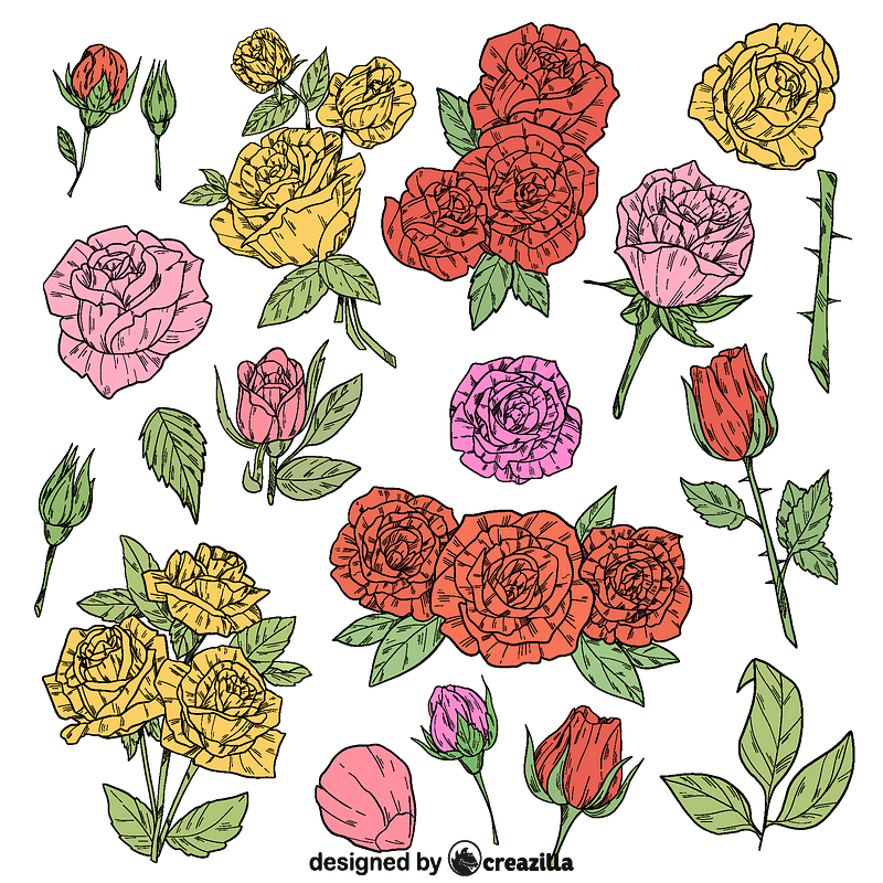 Set of rose