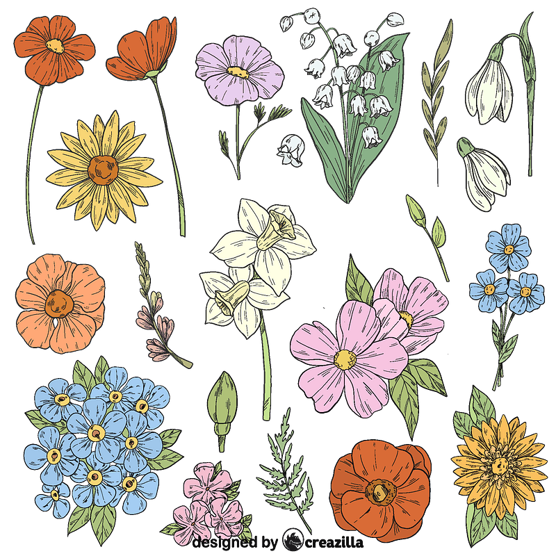 Set of spring flowers