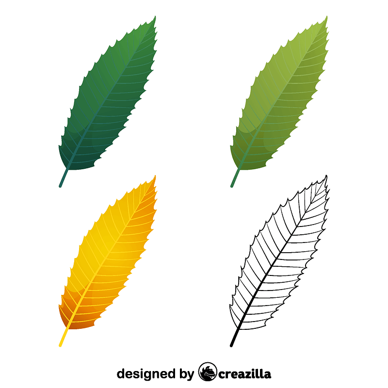 European chestnut leaves