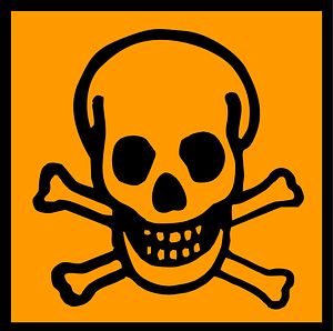 Pirate Skull Logo