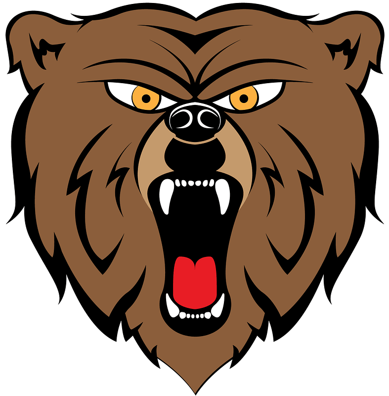 Bear Mascot Head Logo