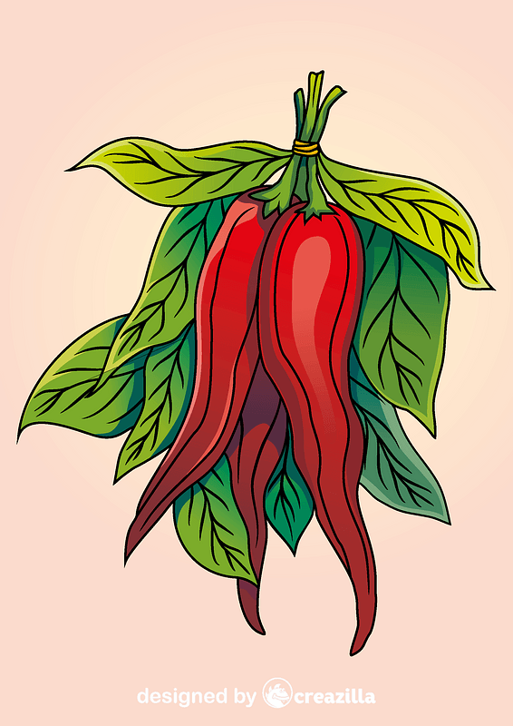 Chili