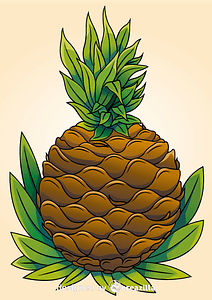 Pineapple