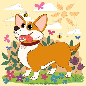 Corgi