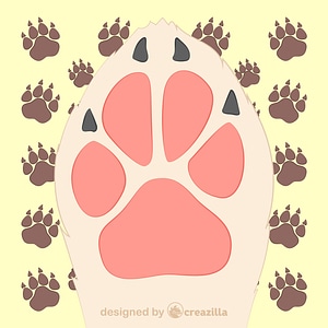 Dog paw