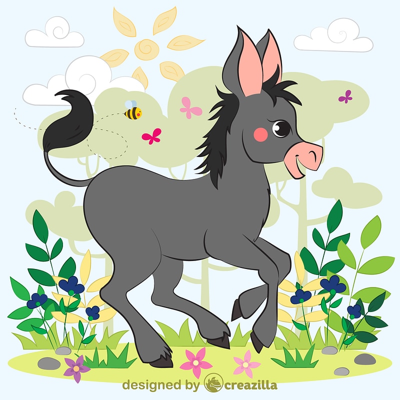 Donkey