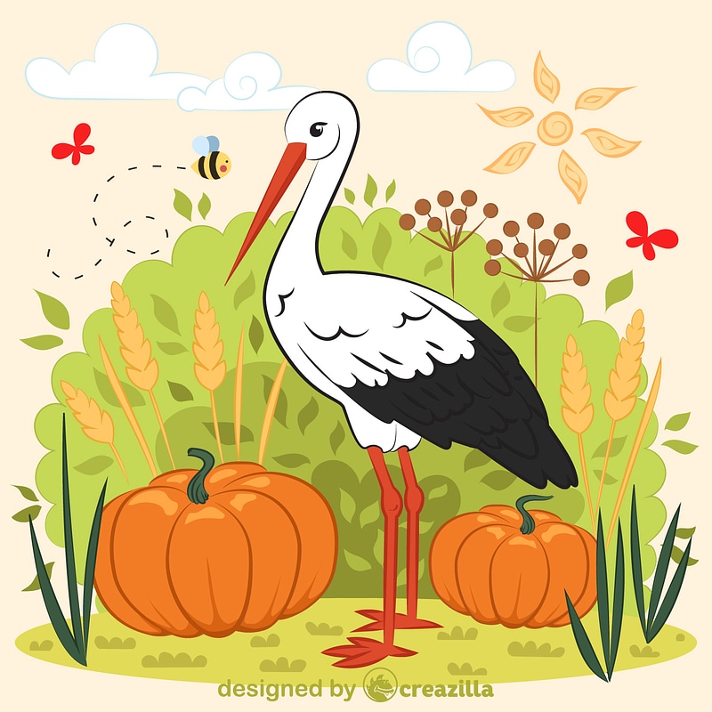 Stork