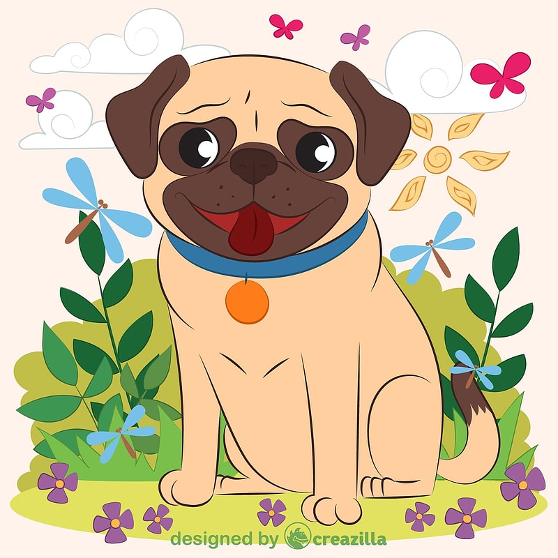 Pug