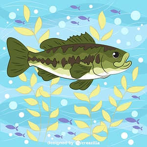 Largemouth bass