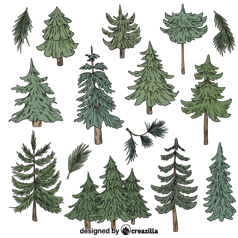 Set of Evergreen tree