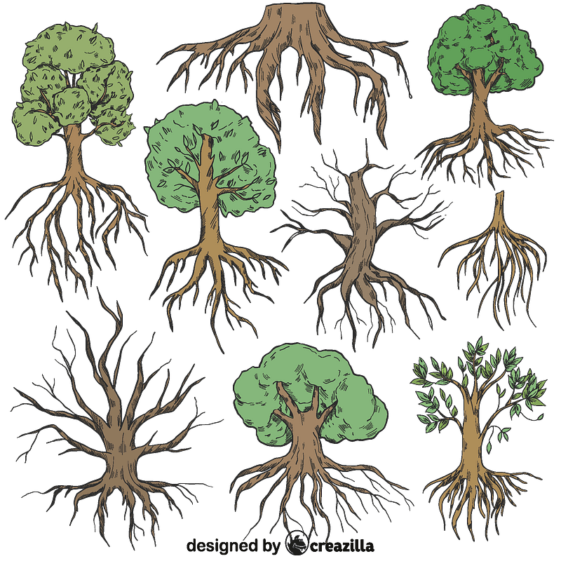 Set of Tree with roots
