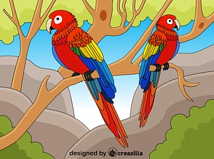 Macaw