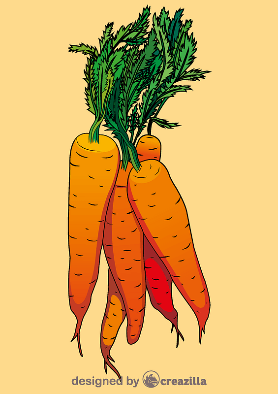 Carrot