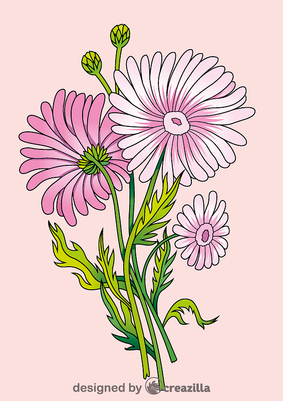 Daisy