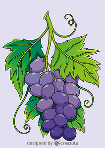 Grape