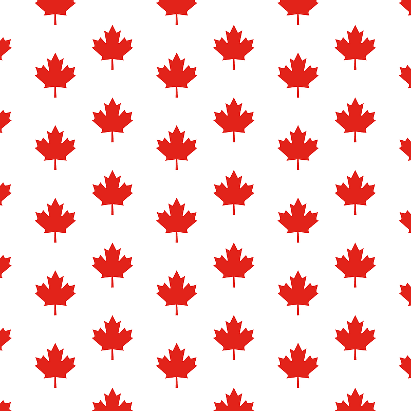 Fond feuille d'érable
