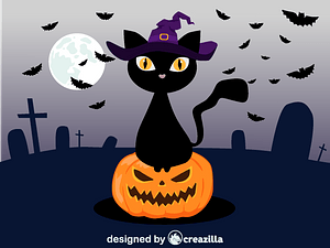 Black cat